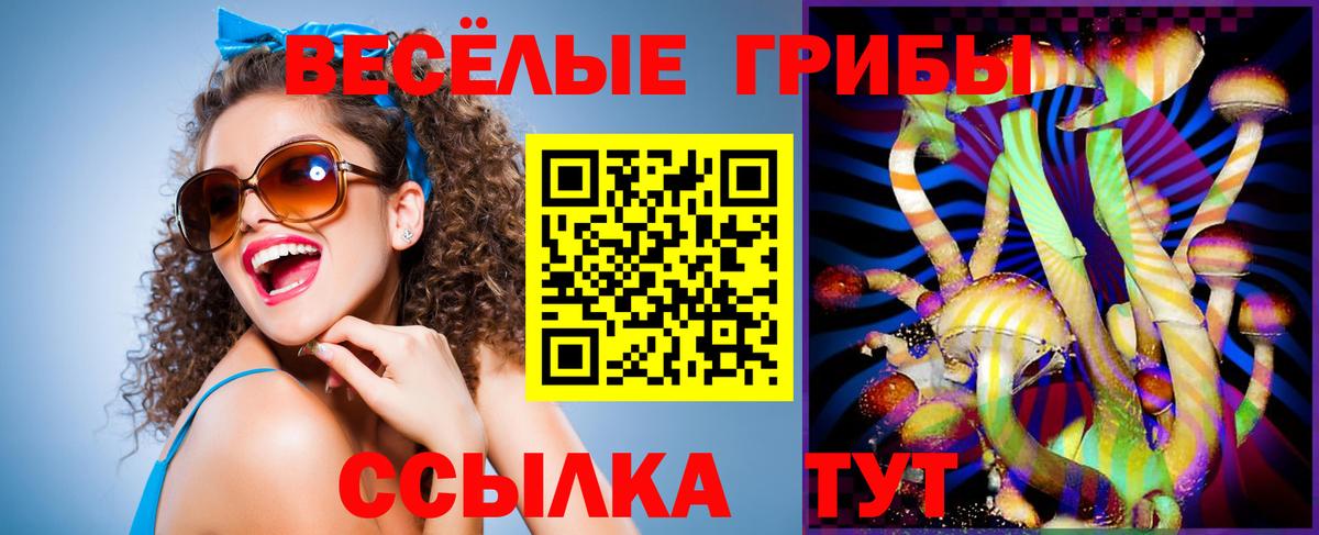 дарнет шоп  Вход с VPN  Ипатово  Псилоцибиновые грибы Cubensis 